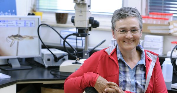 Julie Turgeon, professeure au Département de biologie